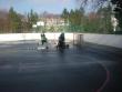 Carpo - Kvasice