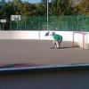 zlinský švec.vs.rangers (24.9.2011)